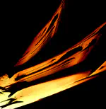 Devil's staircase and the absence of chaos in the dc- and ac-driven overdamped Frenkel-Kontorova model